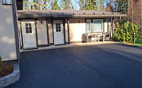 Mesijäinen